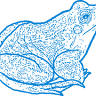 Blue Frog Film & Media