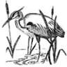 Blue Heron Farm