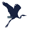 Blue Heron Massage Flies To You