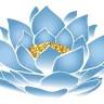 Blue Lotus SkinCare