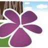 blue mountain Yoga, Health and Wellness