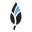 Blue Snow Inc