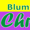 Blumenhaus Christa Groß