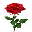 Blumen Freitag