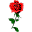 Blumen-Fröhlich
