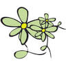 Blumen Horvath - Floristik & Gartenbau
