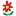 Blumen Ulrich
