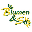 Blumen & So