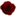 Blumen Fabian