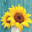 Blumen Friesen