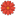 Blumenstube Rath