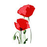 Flower shop