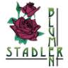 Blumen Andre Stadler