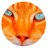 BMD - Blue Mountains & Districts Cat Welfare Group Inc. Op Shop