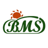 B.M.S. srl