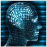Behavioral Neuropsychology & Rehabilitation