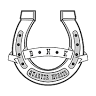 BNK quarter horses