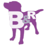 Barks and Recreation Pet Services Inc.