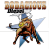 Bodacious Diesel - Ford GMC Chevy Dodge Ram Truck Repair