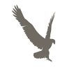 Bogen&Partner Wealth Managers