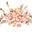 Boho Bungalow - Your Lifestyle Boutique