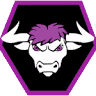 Bolsover Bulls RFL Club
