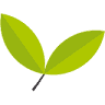 Bom Cultivo