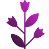 Bonhof Bloemen