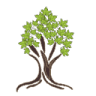 Bonsai Ise Ateliê