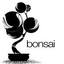 Bonsai Japanese Steak House
