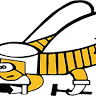 Boselli Construction T/A Sea-Bee Roofing Co