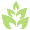 Boston Green Health