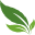 Botanical Green Care LLC