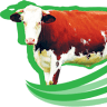 Bovisib