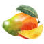 The Mango Fundraiser