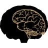 BRAINHOLZ Brennholzhandel