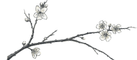 Branch and Blossom