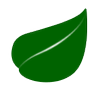 Branch Books