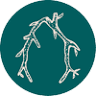 Branch House Riverfront Bistro