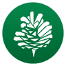 Branqa Studio