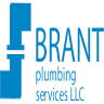 Brant Plumbing Services