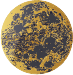 Levi Judqin, Brass Moon Realty