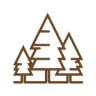 Brazier Timbers - Timber Slabs For A Lifetime