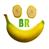 BR da Nutrição - Nutricionista Online | Consultoria Fitness