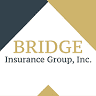 Bridge Insurance Group, Inc.