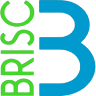 Brisc Plumbing