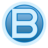 Bristol Technology Group Ltd.