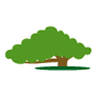 Anima Forest Pet Shop