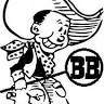 Brorson School District
