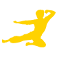 Bruce Lee Enterprises, LLC